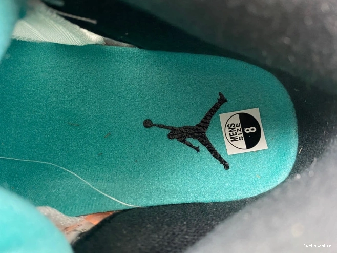 Rep LUCY (2013) Grape 5 Jordan Retro 136027-108 Air 0629